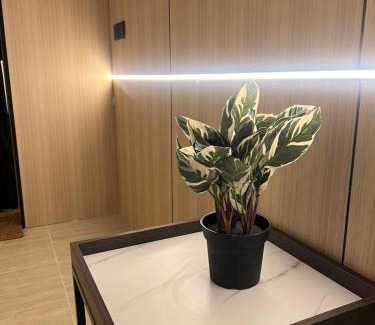 Dammam Apartment | شقق هادئة - تيوليب الفندقية Self- entry