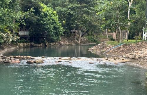 Khao Yai National Park Cabin | กางเขา แคมป์ปิ้ง