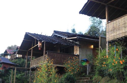 Mok Cham Pae House | เห็ดเหลือง Hedreung banrakthai homestay and camping