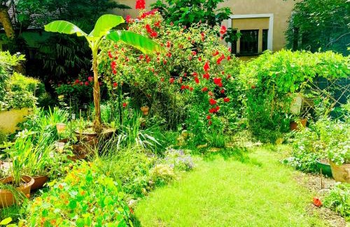 Combat Apartment | ღ Le Jardin Parisien Calme avec Terrasse et Wifi ღ