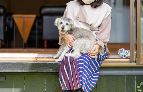Suzaki House | ペットと泊まれる4LDK貸別荘 BBQ可 満点の星空に囲まれた御用邸付近の非日常空間 駐車場3台 s01