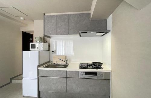 Yushima Apartment | リニューアル済 上野秋葉原近く最大5人宿泊可