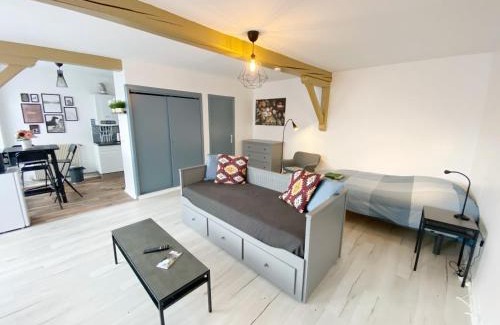 Cret de Roc Apartment | 015 CHIC & COSY STUDIO 41m2 HYPERCENTRE WIFI SMART TV NETFLIX