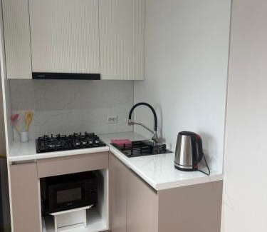Kostanay Apartment | 1 комнатная квартира ЖК Австрийский