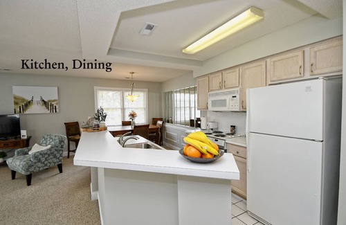 Calabash Condo | 1,180 sqft - Modern Villa with palm trees