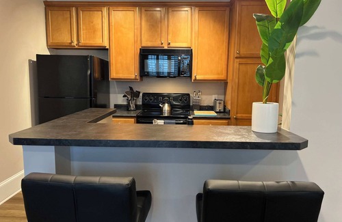 Raleigh Apartment | 1 Bdrm|Pet Friendly|North Hills|Long Stays