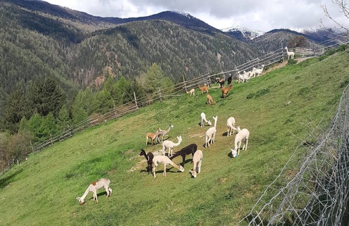 Maranza Apartment | 1 bedroom accommodation in Maranza