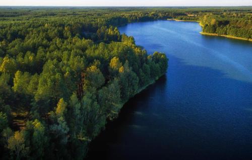 Sliwice Apartment | 1 Bedroom Cozy Apartment In Okoniny Nadjeziorne