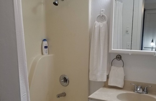 Lakeview Apartment | 1 Bedroom unit with a full kitchen and living room