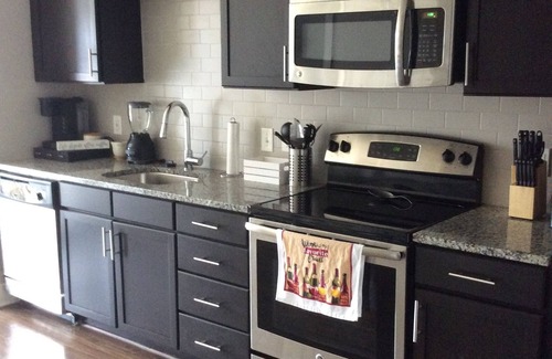 Downtown Apartment | 1 BR Rental Unit* W/Skyline View* Free Parking