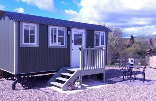 Forfar Cabin | 1 King-size Bed Deluxe Cabin - Free Parking