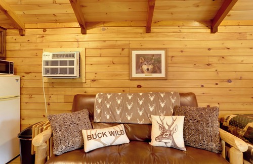 Van Buren Cabin | 1 Mi to Current River: Cozy Studio Cabin!