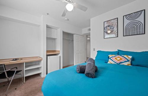 Temple Terrace House | 1 MI to USF Budget Friendly Pool GYM