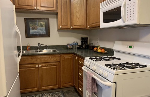 Kenai Apartment | 1 MILE TO BEACH ACCESS, MOUTH OF KENAI RIVER!