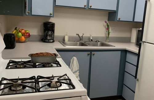 Kenai Apartment | 1 MILE TO MOUTH OF KENAI RIVER!
