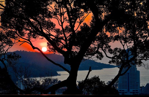 Patong Villa | 10 king size bedroom private pool villa with amazing sea view 360°