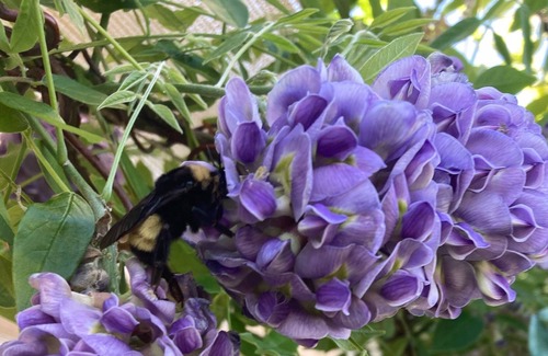 Mineral Wells Cottage | 10 min from Downtown Mineral Wells & 25 miles to Possum Kingdom Lake!