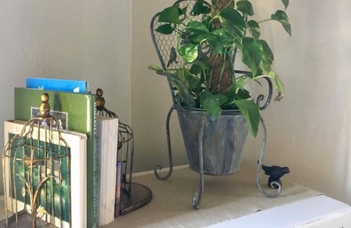 Mineral Wells Cottage | 10 min from Downtown Mineral Wells & 25 miles to Possum Kingdom Lake!