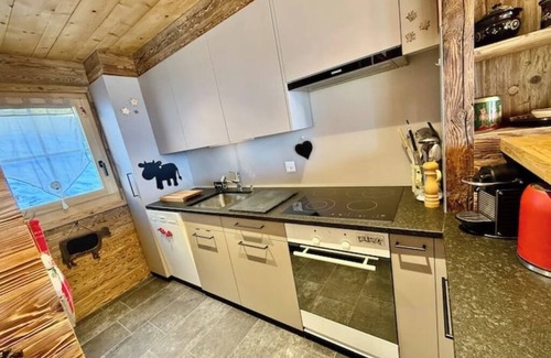 Gryon Ski Chalet | 114 Magnificent chalet l'Adrine