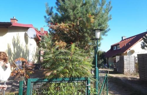 Adamswalde House | 12 Rheinsberg OT Großzerlang am See