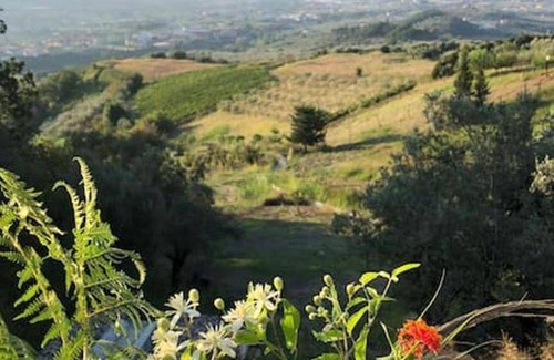Montecorvino Rovella House | 120 m² House ∙ 3 bedrooms ∙ 6 guests
