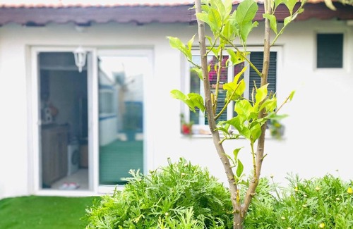 Ildır Koyu House | 15 m² House ∙ 1 bedroom ∙ 3 guests