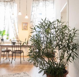Hamelin Apartment | 150 qm Luxus im Zentrum