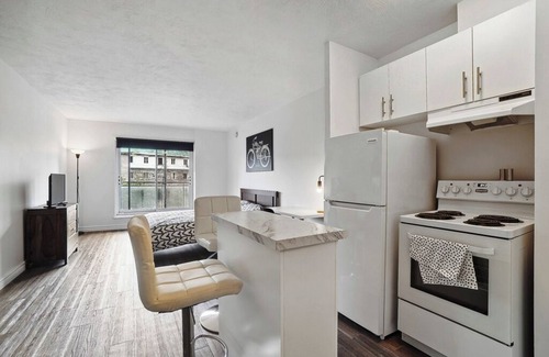 Plateau Mont Royal Apartment | #162 Modern Studio in Plateau Mont-Royal