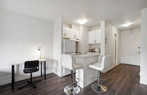 Plateau Mont Royal Apartment | #162 Modern Studio in Plateau Mont-Royal