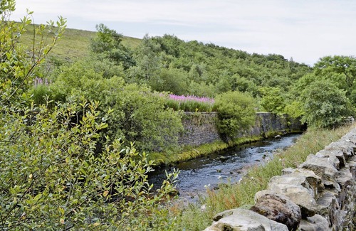 Hawes Cottage | 17th century farmhouse with open fires.