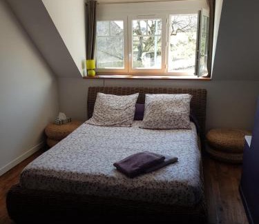 Saint-Georges-sur-Cher Bed & Breakfast | 18 châteaux et Beauval sur un rayon de 30 km