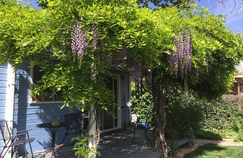 Palisade House | 1912 Cottage Experience In The Heart Of Colorado Wine Country