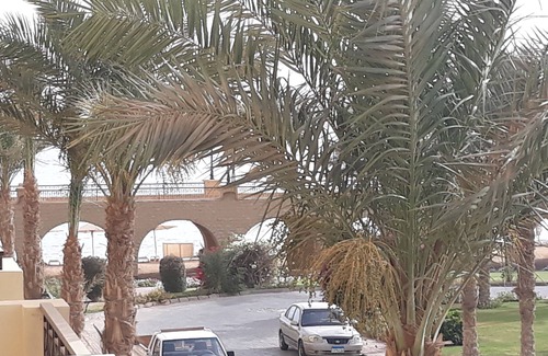 Sahl Hasheeh Apartment | 1br Apartment in Andalous