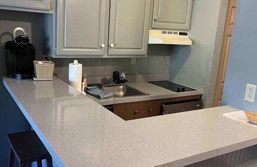 Hancock Apartment | 1st FL Mtn View Woodland Suite on Jiminy Sleeps 4 Ski On/Off, Fully Redone Count