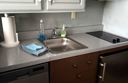 Hancock Apartment | 1st FL Mtn View Woodland Suite on Jiminy Sleeps 4 Ski On/Off, Fully Redone Count