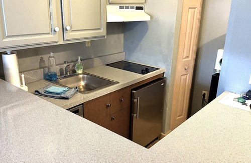 Hancock Apartment | 1st FL Mtn View Woodland Suite on Jiminy Sleeps 4 Ski On/Off, Fully Redone Count
