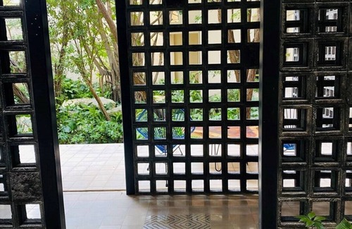 Ejidal Apartment | 1st floor 1 bedroom w sunny Patio and plants, Wifi, Rooftop pool, gym, 24h sec