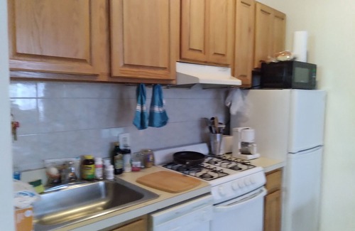 Garment District Apartment | $2,000. Manhattan apt. for August