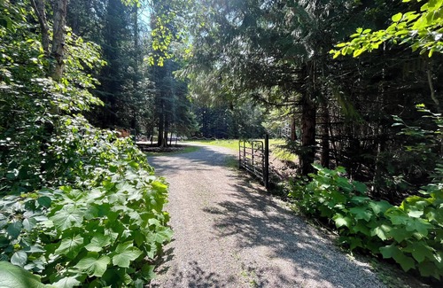 Blanchard Cabin | 2 Adjacent Cabins near Silverwood w/Vintage Ice Cream Parlor + Movie Theater