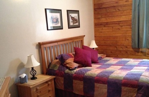 Gould City House | 2 Bdrm Lake Front Log Home on S Manistique Lake with Fireplace