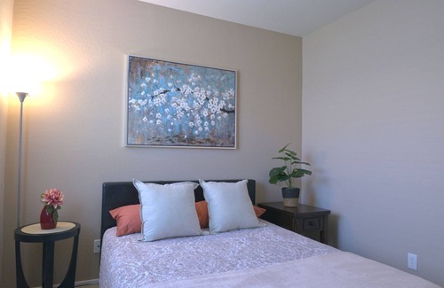 Festival Ranch House | 2 bed, 2 bath, stylish, single story, home in a 55+ adult active community.