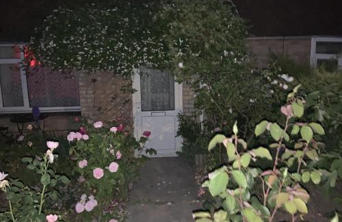 Amesbury House | 2-Bed House Sleeps 4 - Enclosed Garden - Tv & WiFi
