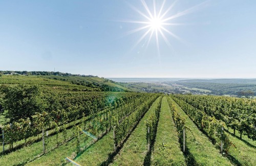 Deutsch Schuetzen-Eisenberg House | 2 bedroom accommodation in Eisenberg