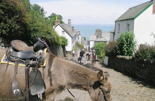 Appledore Cottage | 2 bedroom accommodation in Appledore