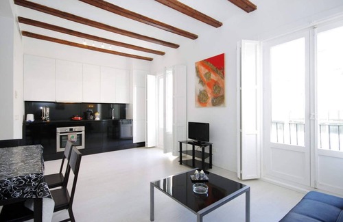 Barrio del Carmen Apartment | 2 Bedroom Apartment with balcony. Old Town. Valencia. MS4