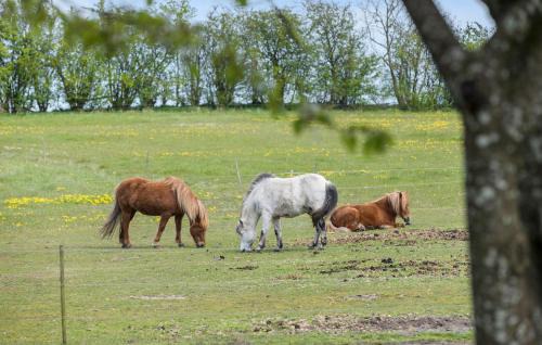 Kolind Apartment | 2 Bedroom Beautiful Apartment In Kolind