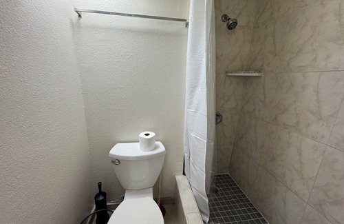 Waikiki Apartment | 2-bedroom studio Family 4 person in terrific HonoluluNear Waikiki AlaMoanaGreen