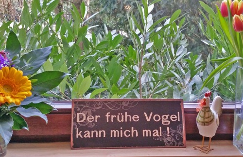 Moehnesee Apartment | 2 Bedrooms Apartment In Möhnesee
