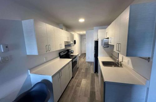 Longue-Pointe Apartment | 2 bedrooms near Hochelaga area D908