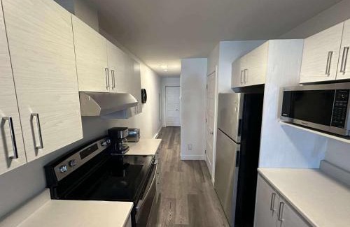 Longue-Pointe Apartment | 2 bedrooms near Hochelaga area D908